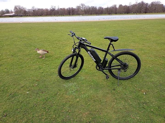 Electric Bike