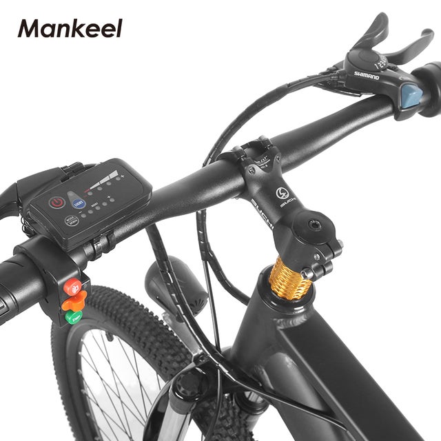 Electric Bike