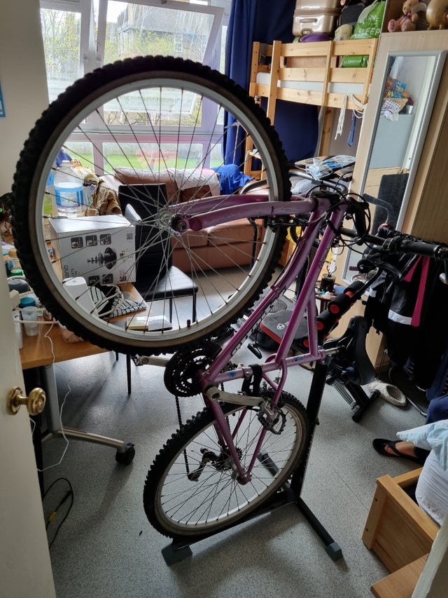 Bicycle
