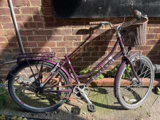 Viking bike