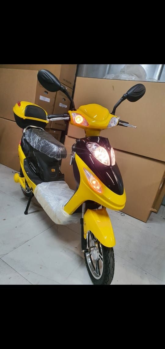 Brand New Bikes