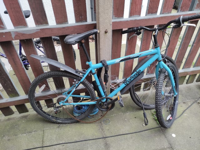 bikes