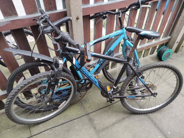 bikes