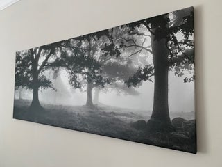 Painting/Picture